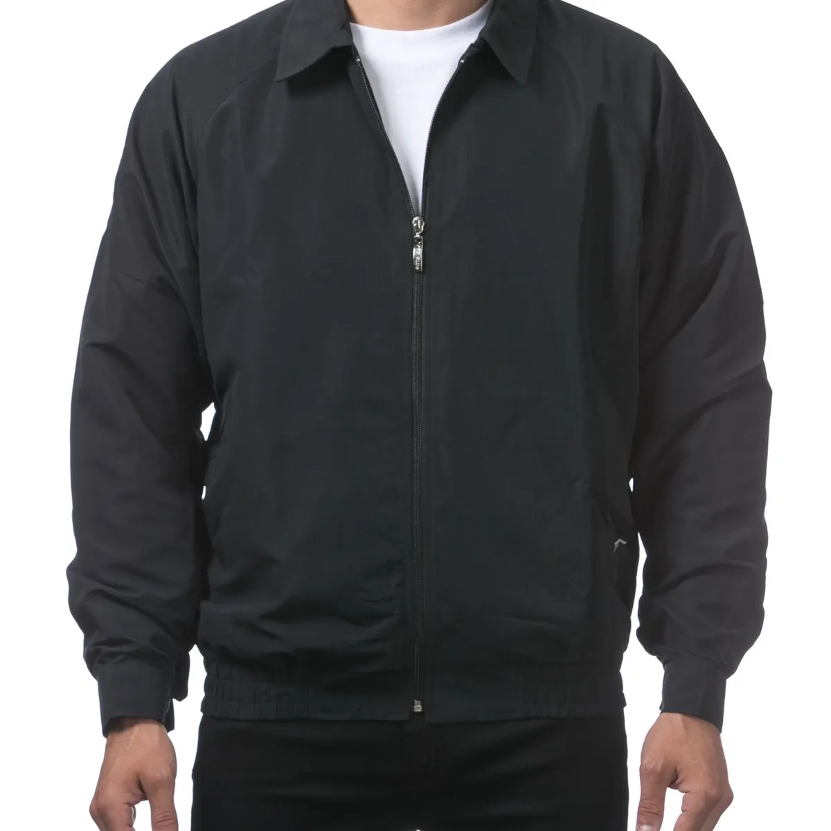[123SF] Spring/fall 2